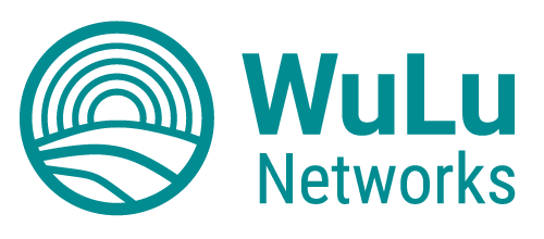 WuLu Networks Aqua logo with no background